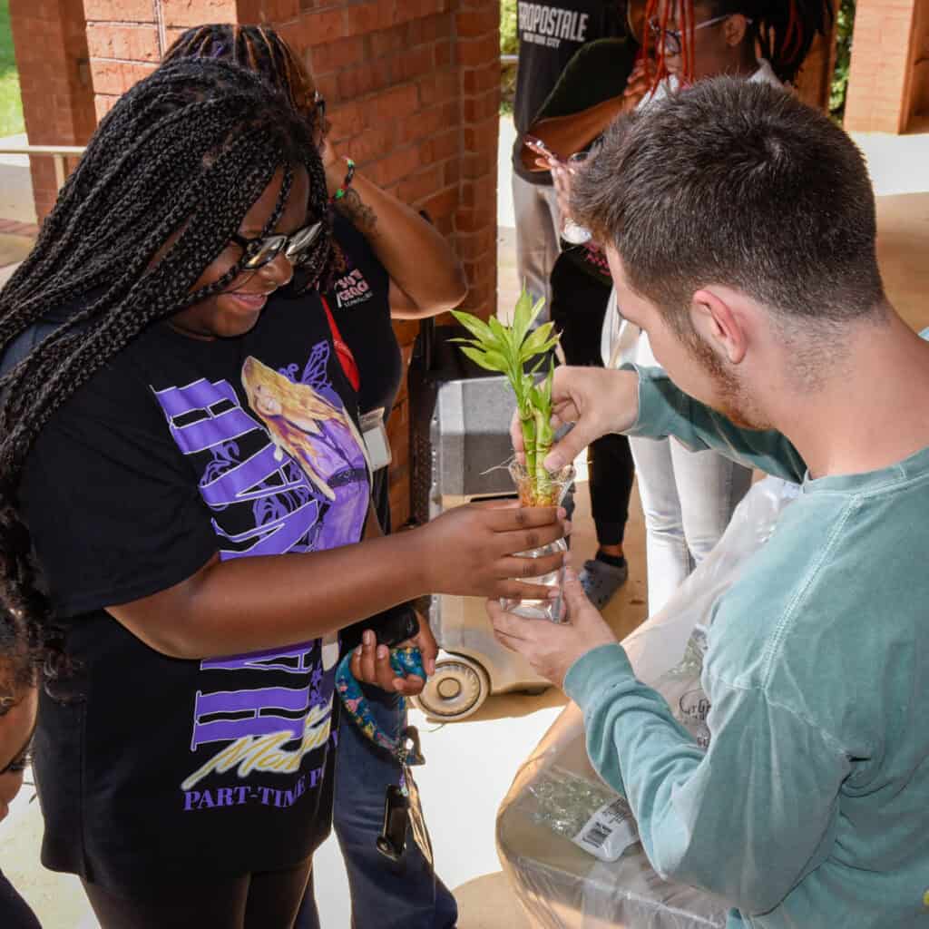 Students work on their lucky bamboo creations 